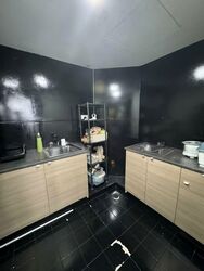 Fortune Park (D19), Condominium #594717851